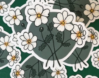 Anemone Flower Clear Sticker, Indoor/Outdoor Use