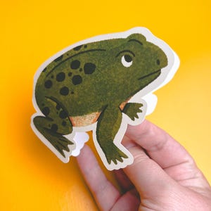 Frog Greeting card / Frog card