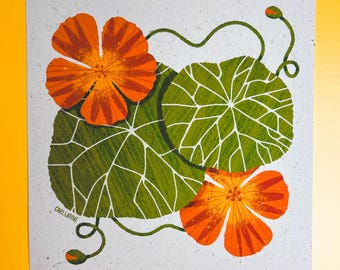 Art Print - nasturtium flowers