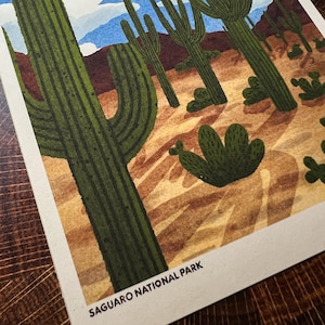 Saguaro National Park Illustration Print
