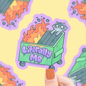 Dumpster Fire Sticker, Vinyl, Waterproof, Water Bottle Sticker, Funny Sticker, Raccoon, Trash Panda, Anxiety, Messy Sticker, College Sticker