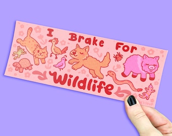 I Brake For Desert Wildlife, Desert Wildlife Sticker, Cute Bumper Sticker, Waterproof Car Sticker, Sticker for Cars, Wildlife Protection