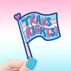 Pride Sticker, Trans Rights, 2023, Vinyl Sticker, LGBTQ Sticker, Rainbow, Gay, Transgender, Bisexual, Lesbian, Support Sticker, Gay Sticker