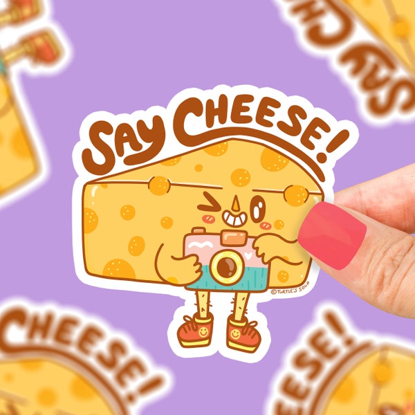 Say Cheese, Funny Camera Pun, Cheddar Cheese, Sticker Art, Snap a Photo, Photography, Photographer Sticker, Sticker for Camera, Camera Gear
