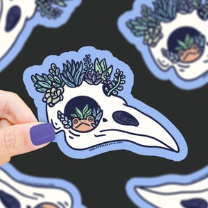 May include: A white bird skull with a blue outline is decorated with green succulents and a small frog peeking out from the eye socket. The skull has a website address printed on the bottom: www.turtlesoup.com.