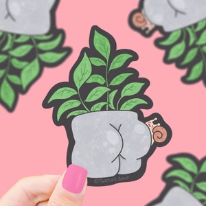 May include: A gray ceramic planter shaped like a pair of buttocks with a green leafy plant growing out of the top. A small snail is crawling up the side of the planter. The text "TURTLE'S SOUP" is printed on the bottom of the planter.