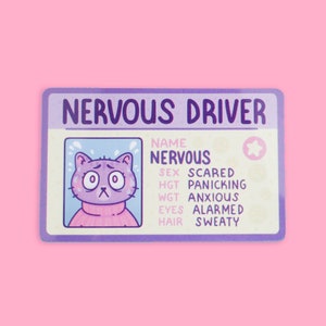 Faux permis de conduire, conducteur nerveux, carte d'identité amusante, parodie, chats, cadeau pour nouveau conducteur, décoration de voiture mignonne, carte de fantaisie, pièce d'identité à collectionner, carte d'identité de chat mignon