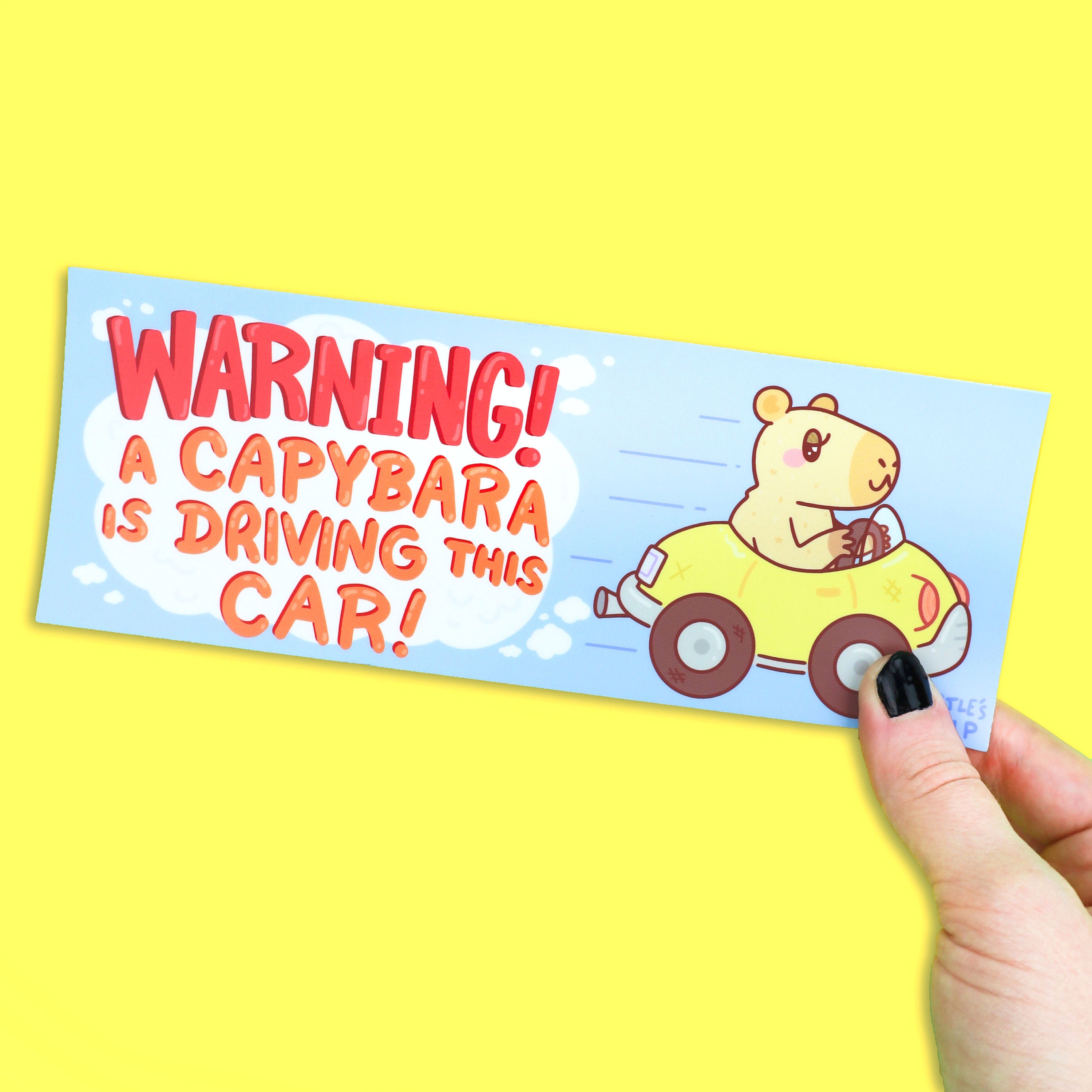 Warning, A Capybara Is Driving This Car, Funny Capybara Bumper