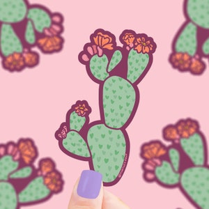 May include: A green cactus with pink accents and orange flowers. The cactus is shaped like a heart and has a white heart pattern. The cactus is on a pink background. The text "@nattles.soup" is at the bottom of the cactus.
