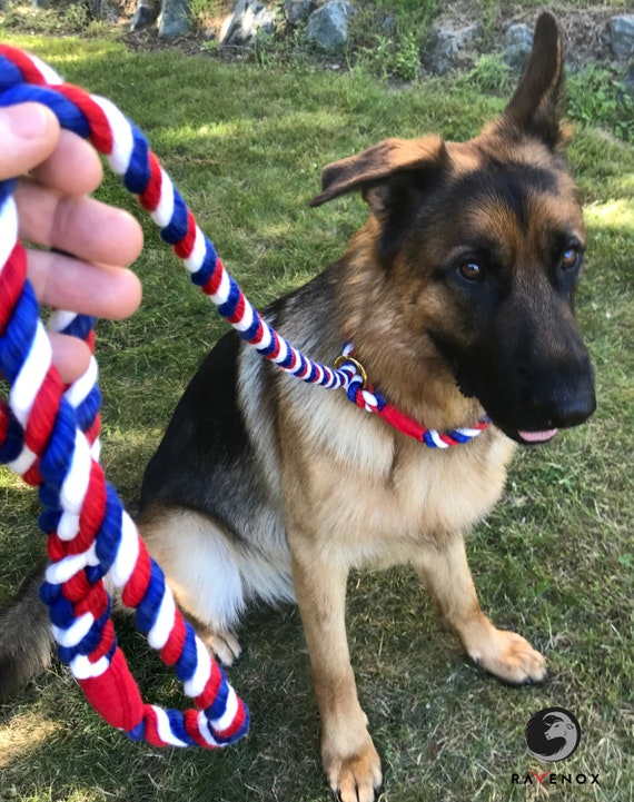 Twisted Cotton Rope Dog Leash Slip Lead by Ravenox for Small