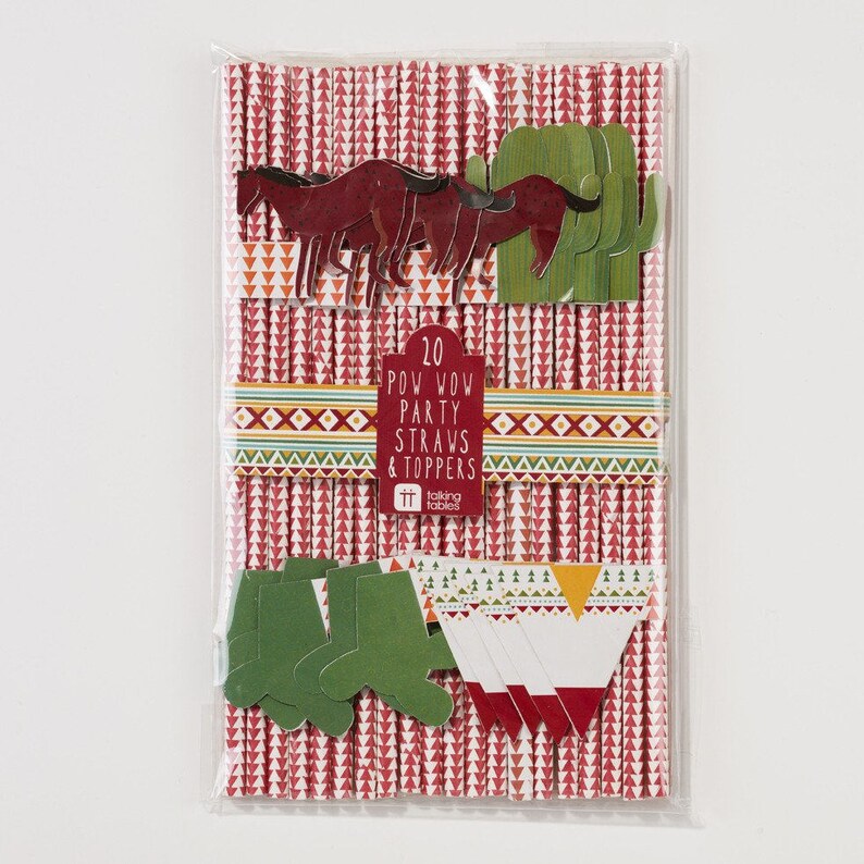 20 X Pow Wow Drinking Straws Wild One Party Paper Straws Etsy Australia