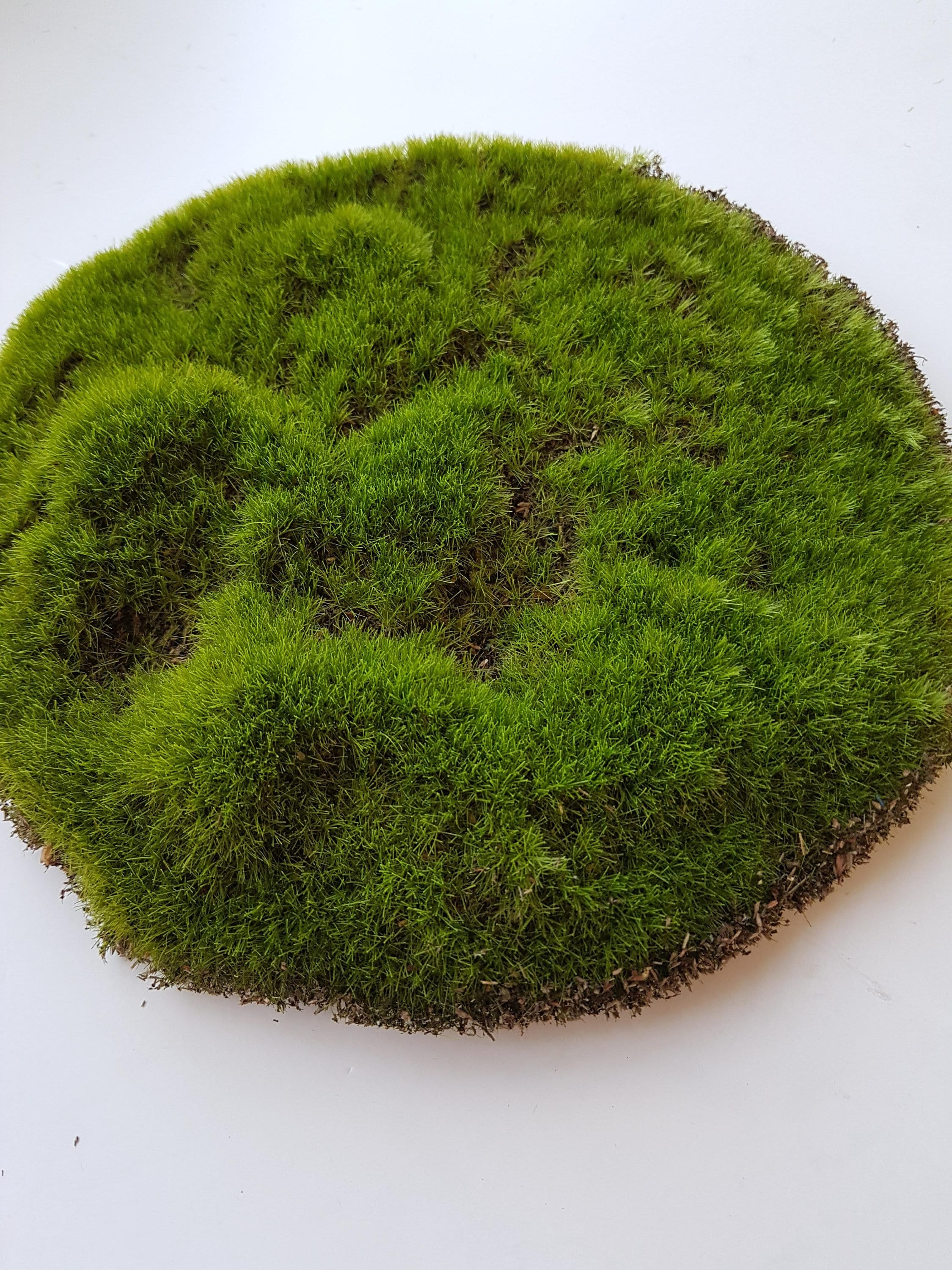 Artificial Moss, Moss Pad Terrarium Rocks Woodland Wedding Party Forest  Fake Grass Fairy Garden Wood Theme Moss Mat Mini Terrarium Fake Moss 