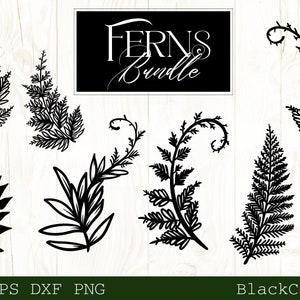 Ferns Bundle svg, Ferns svg, Botanical forest illustrations svg, Swirly ferns wildflowers svg