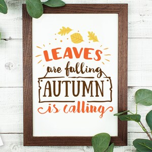 Le foglie cadono l'autunno chiama svg, Autumn svg, Fall svg, autumn svg design, thanksgiving svg, autumn leaves svg