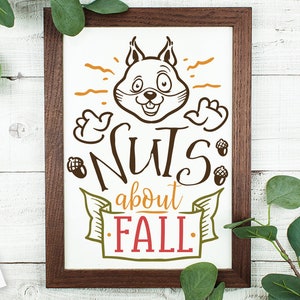 Nuts about fall svg, Autumn svg, Fall svg, autumn svg design, thanksgiving svg, love fall svg, nuts svg