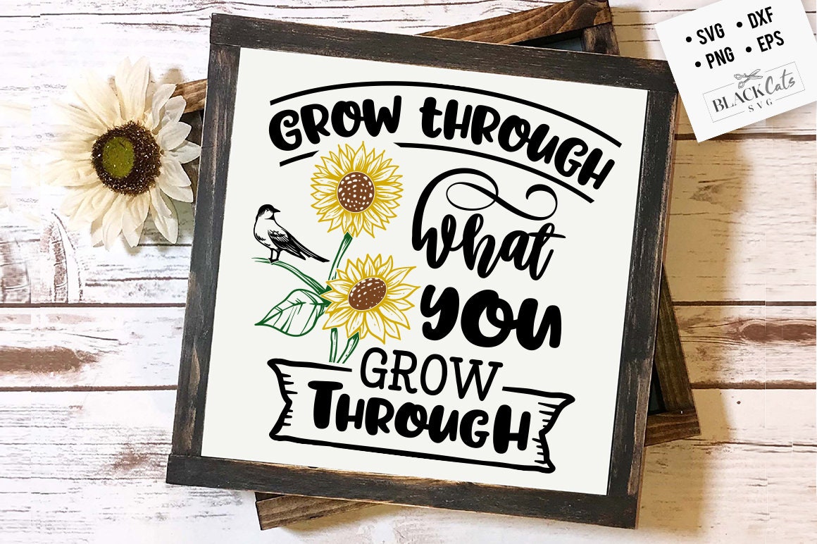 Grow Through What You Go Through Svg Sunflower Svg Sunflower - Etsy Hong Kong Grow Through What You Go Through Svg Sunflower Svg Sunflower - Etsy Hong Kong