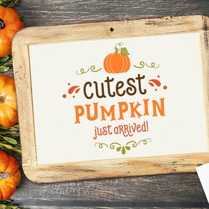 La zucca più carina appena arrivata svg, Autumn svg, Fall svg, autumn svg design, thanksgiving svg, autumn baby svg, baby arrival svg