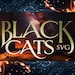 BlackCatsMedia store logo
