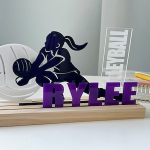 Volleyball Grandstand, Libero, Personalized Volleyball Gift, Choose your Pieces and Colors