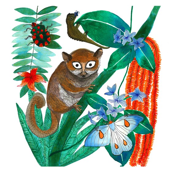 Primo De Maggie Lemur Raton Etsy