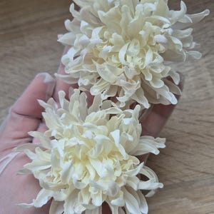 以下が含まれることがあります： 層状に重なりカールした花びらを持つ、オフホワイトの布製菊の花2輪。それぞれの花は、中心から放射状に広がる細く尖った花びらが密集した丸みを帯びた形状をしており、ボリューム感のある質感に仕上がっています。