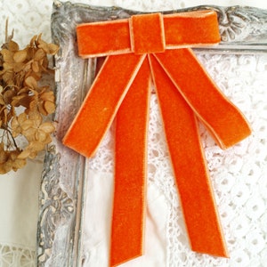 Burnt orange Satin Ribbon Necktie  Necklace  with Heart Jewel Brooch Amazon.com: ladies girl bowknot bow tie suit shirt tie pins  main image 3