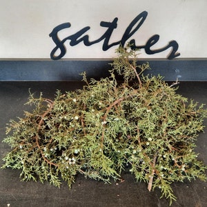 Organic Juniper Berry Branches 1lb &quot;Freshly Cut&quot;, Wedding Decor, Holiday, Crafting, Wreaths, Smudge, Aroma bundles