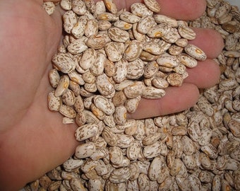 Pinto Beans 5LBS food grade triple cleaned NEW CROP emergency food storage edible bean storage food shortage