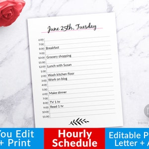 Editable Hourly Planner Printable, Editable Daily Planner, Hourly Schedule Printable, Fillable Daily Schedule, Day Organizer, Hourly Agenda