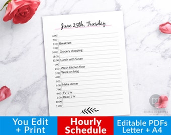 Editable Hourly Planner Printable, Editable Daily Planner, Hourly Schedule Printable, Fillable Daily Schedule, Day Organizer, Hourly Agenda