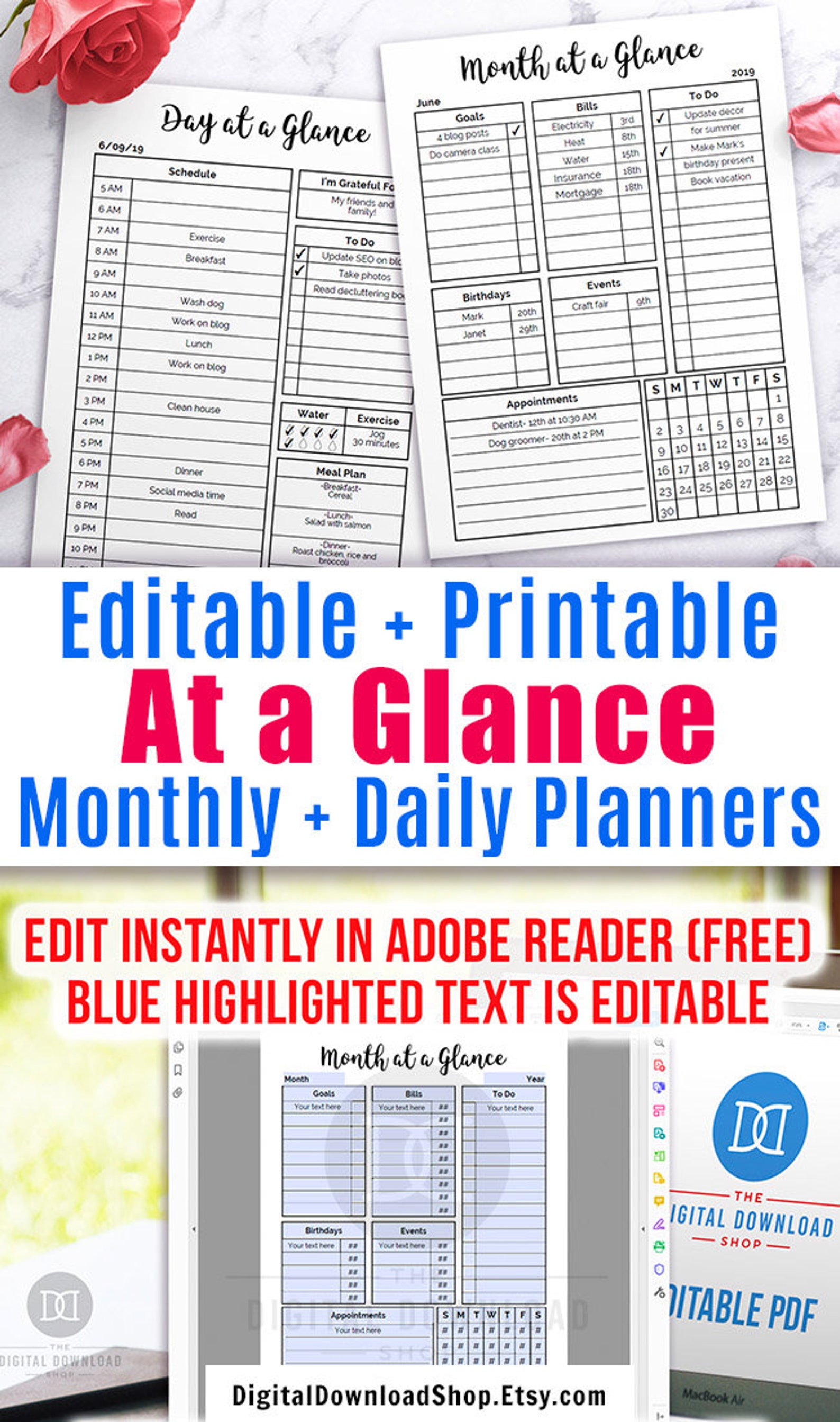 Editable Month at a Glance Printable + Editable Day at a Glance ...