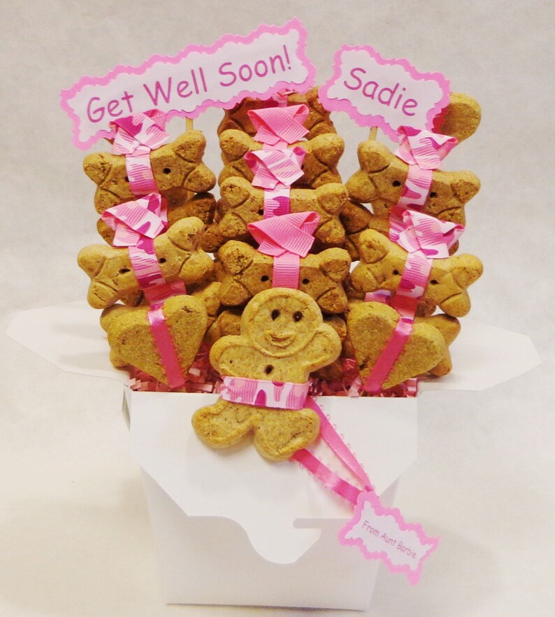 Get Well Dog Treat Gift Basket Gift for Sick Dog Gift for Etsy