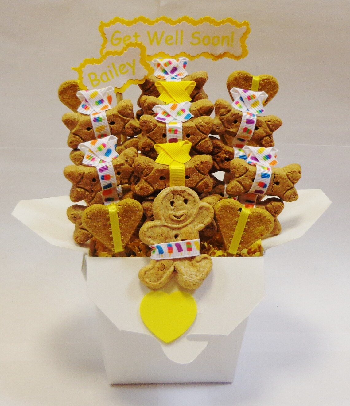 Dog Get Well Gift Dog Treat Gift Basket Gift for Dog Lovers Etsy