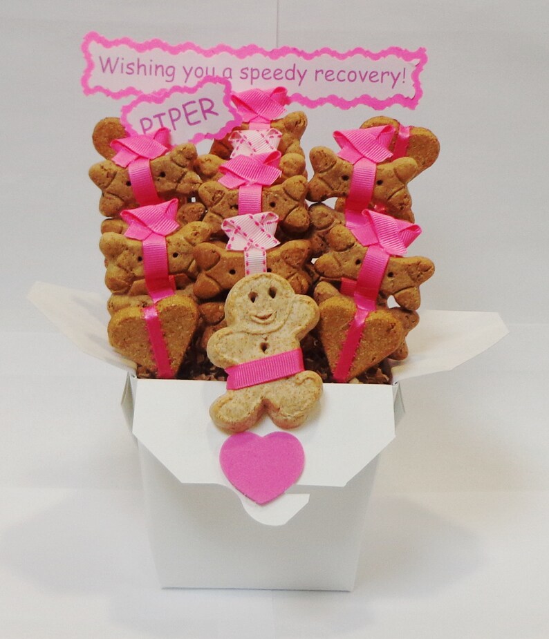 Dog Get Well Gift Dog Treat Gift Basket Gift for Dog Etsy