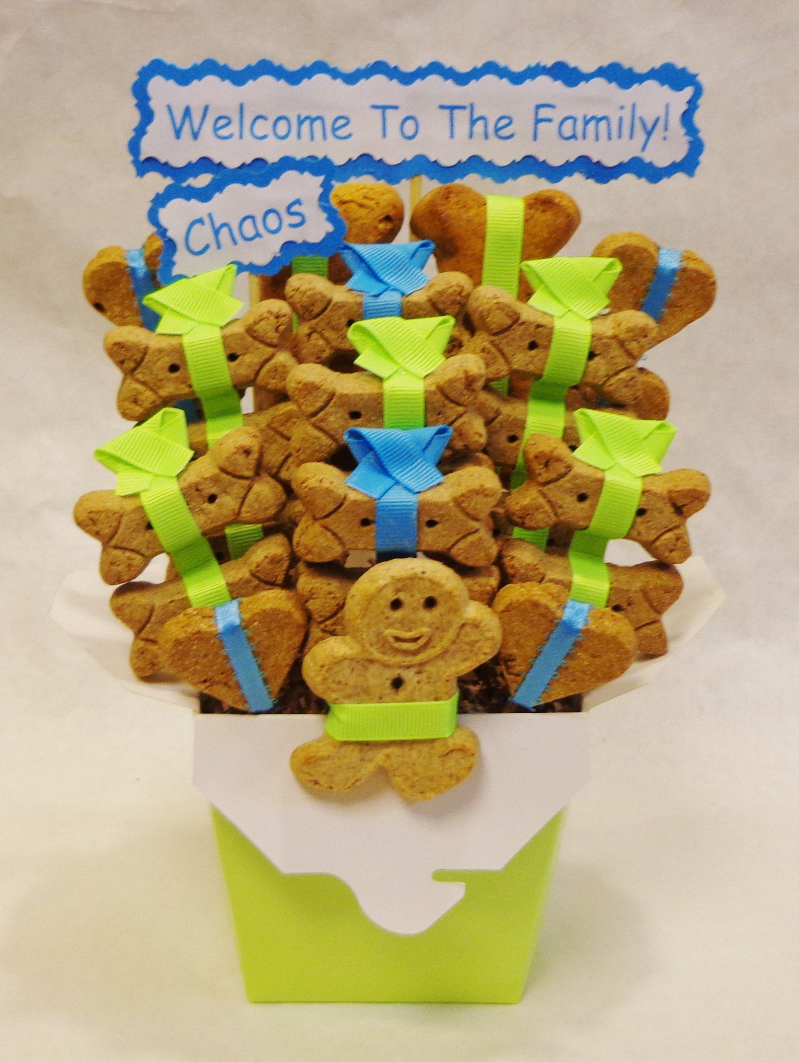 Dog treat gift basket new puppy gift personalized dog gift Etsy