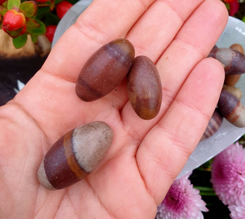 three sizes Shiva Lingams Roots and Stars
