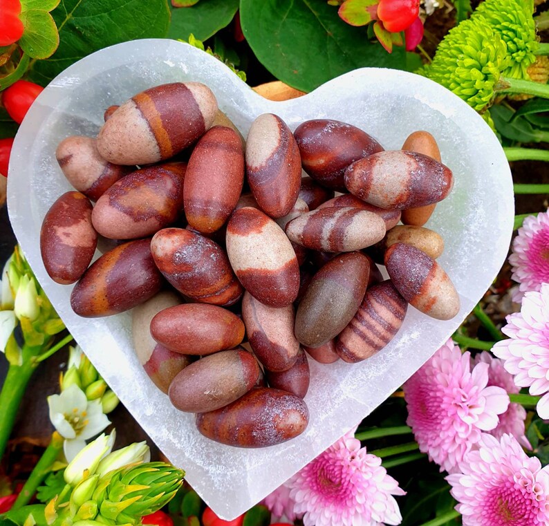 three sizes Shiva Lingams Roots and Stars