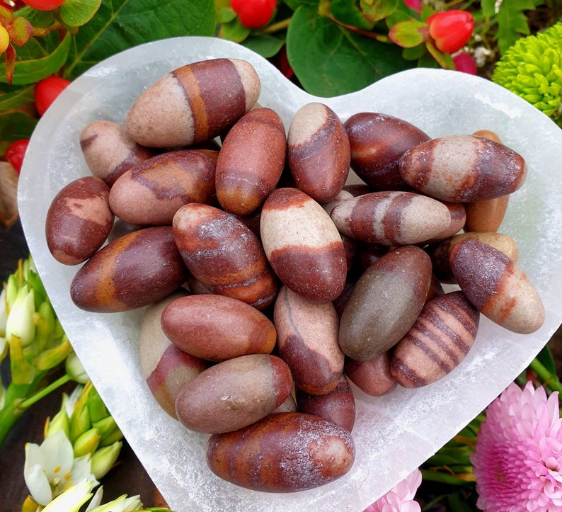 three sizes Shiva Lingams Roots and Stars