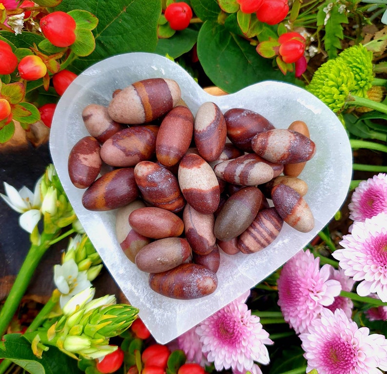 three sizes Shiva Lingams Roots and Stars