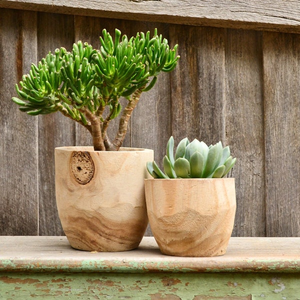 Modern Natural Timber Indoor Plant Pot Planter