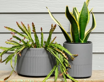 Flint Warm Charcoal Grey Matte Modernist Plant Pot Planter