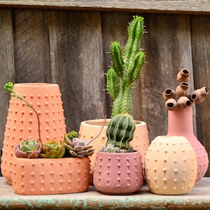 Modern Textured Ceramic Sea Urchin Inspired Pot Planters, Vase and Vessel