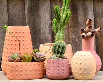 Modern Textured Ceramic Sea Urchin Inspired Pot Planters, Vase and Vessel