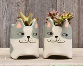 Quirky Small Grey and White 39 Bentley 39 Cat Planter