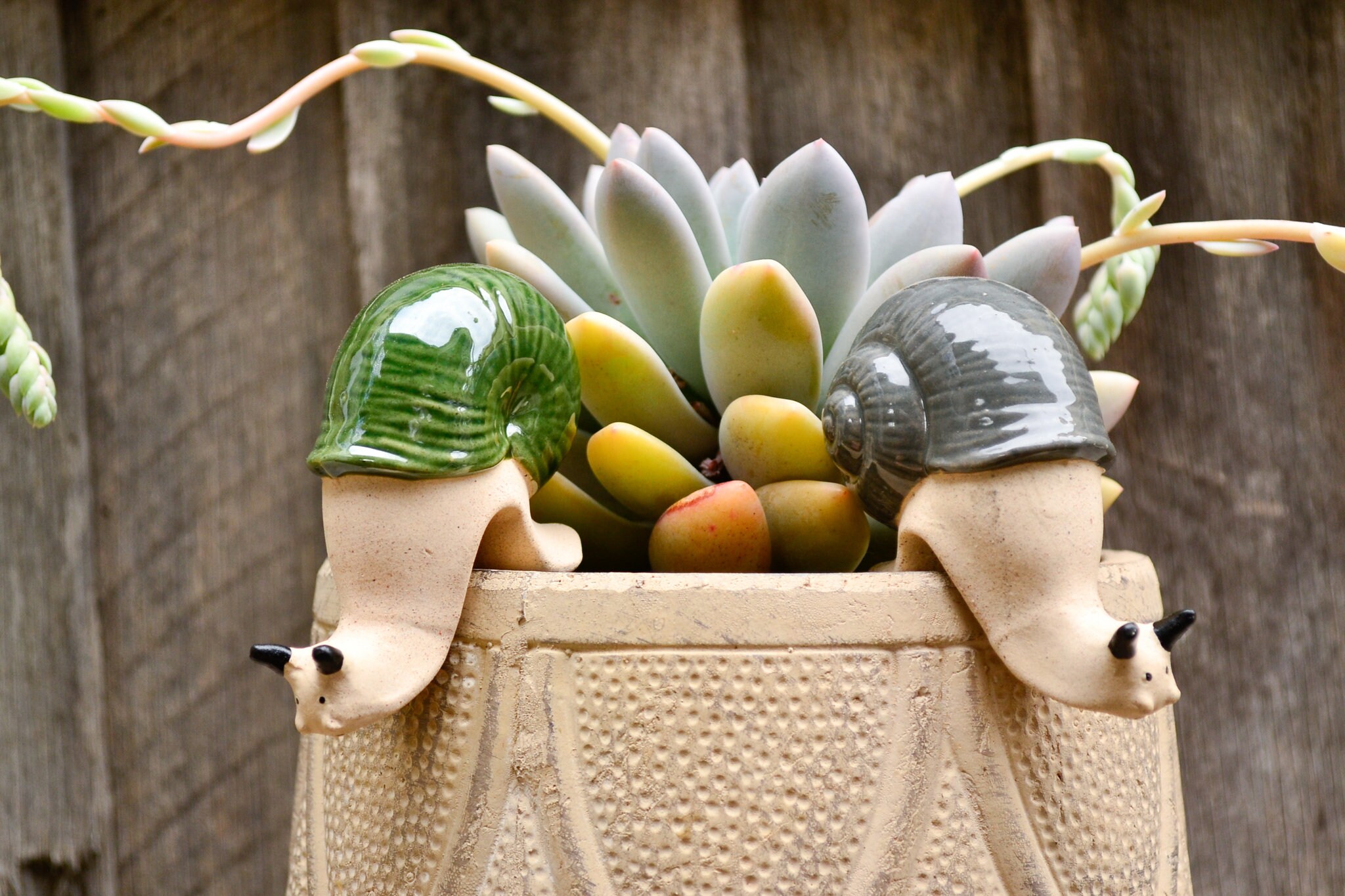 Handmade Ceramic Pot Planter Pals Ceramic Pot Hanging Animals Etsy