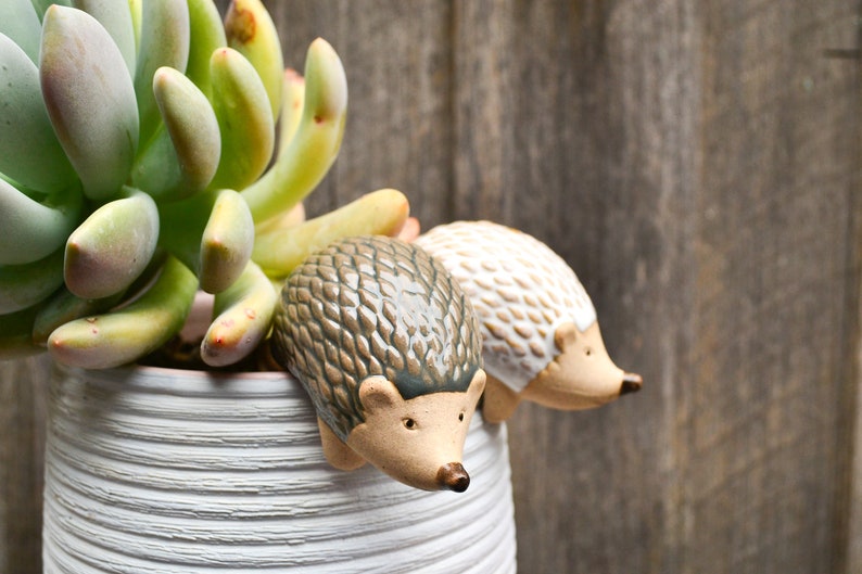 Handmade Ceramic Pot Planter Pals Ceramic Pot Hanging Animals Etsy