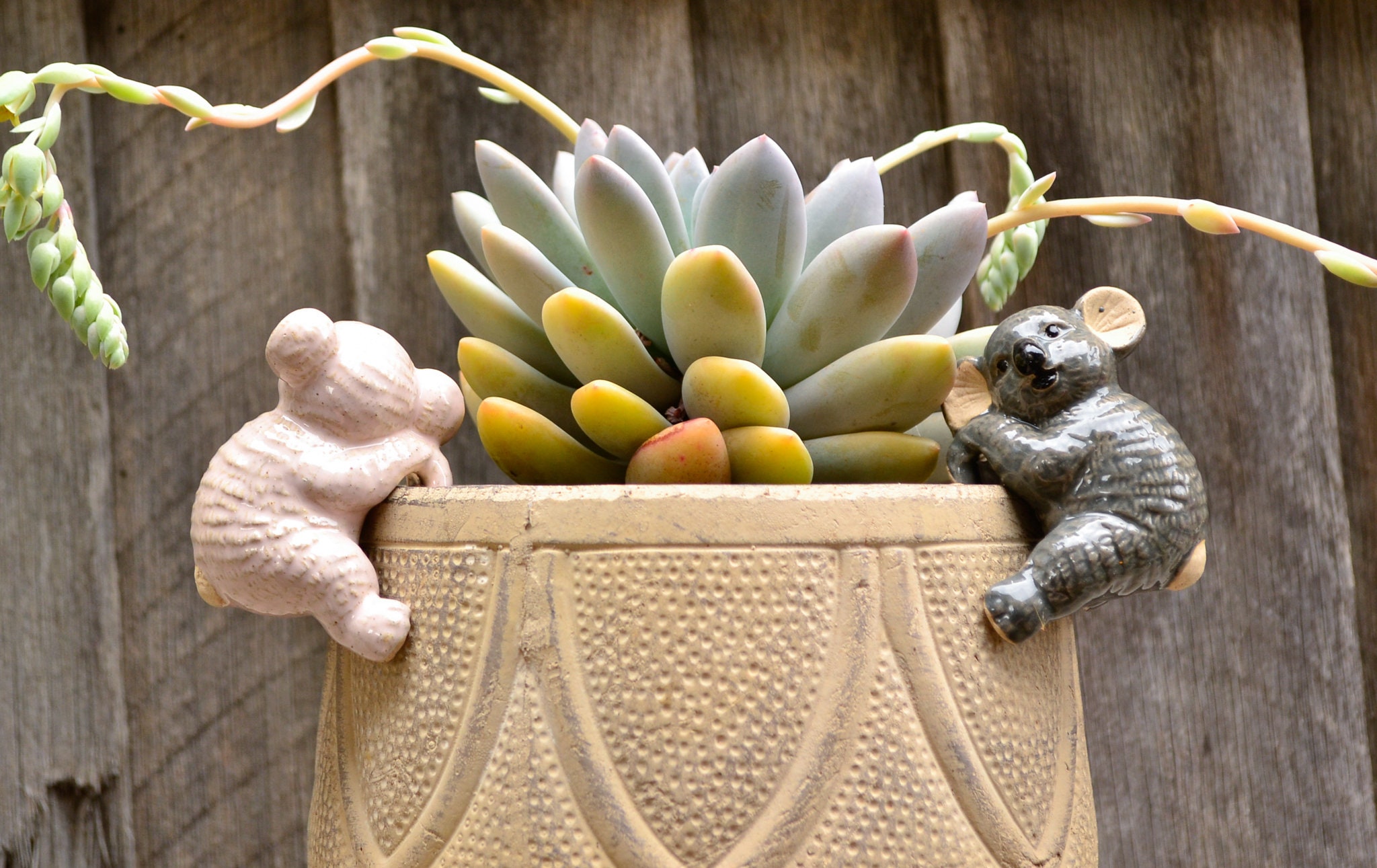 Handmade Ceramic Pot Planter Pals Ceramic Pot Hanging Animals Etsy