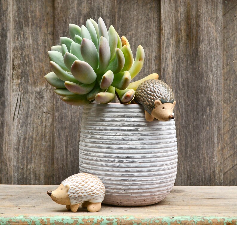 Handmade Ceramic Pot Planter Pals Ceramic Pot Hanging Animals Etsy UK