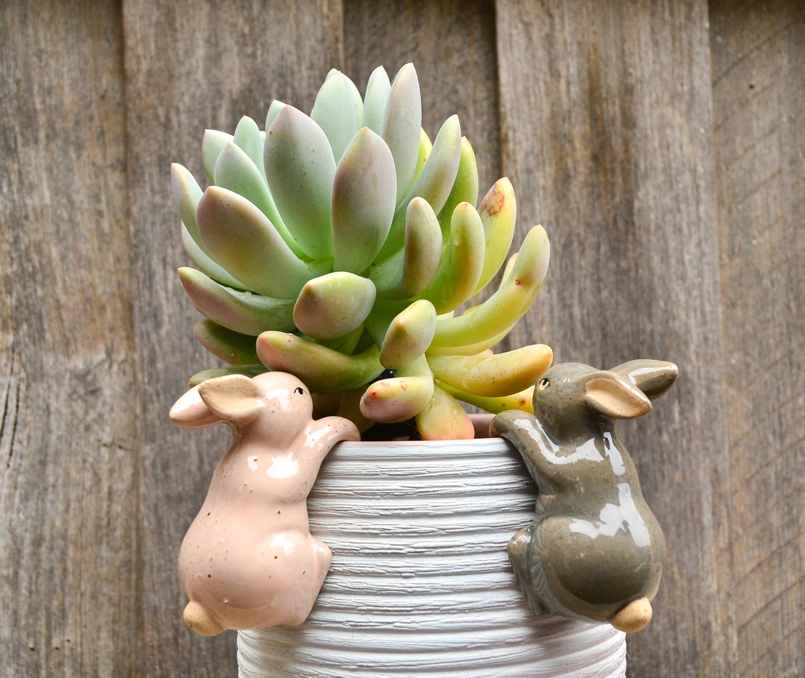 Handmade Ceramic Pot Planter Pals Ceramic Pot Hanging Animals Etsy