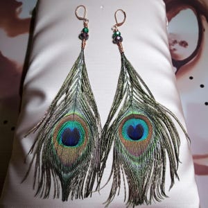 May include: A pair of dangle earrings featuring natural peacock feathers with iridescent blue and green eye patterns. The feathers are attached to copper-toned wire-wrapped accents with small green and dark purple faceted beads and lever-back hooks.